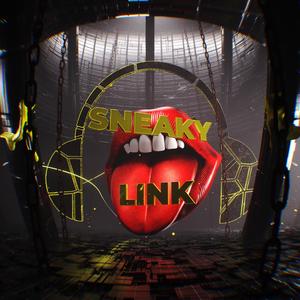 Sneaky Link