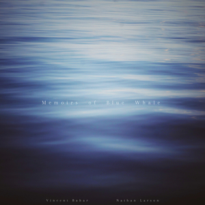Memoirs of Blue Whale