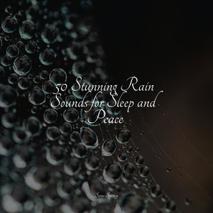 Splish Splosh Rain