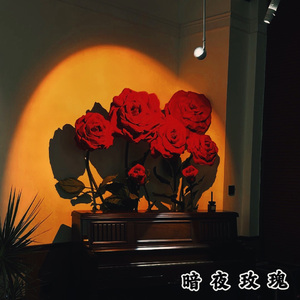 暗夜玫瑰
