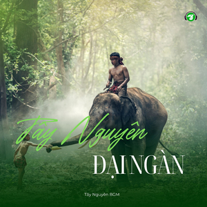 Rừng Xanh Bạt Ngàn Vẫy Gọi (Travel BGM)