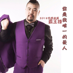 你是我唯一的爱人