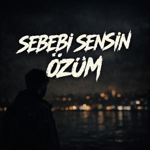 Sebebi senin özüm