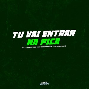 Tu Vai Entrar na Pica