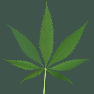 Les Produits du Bloc