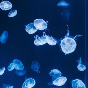 Left at the Crossing