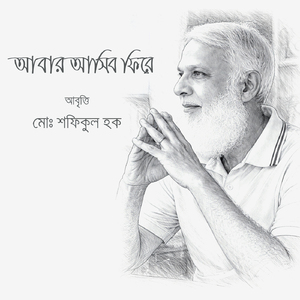 আমি যদি হতাম বনহংস