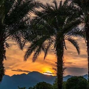 不如不见面remix