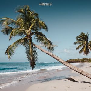 办公事务安静的爵士