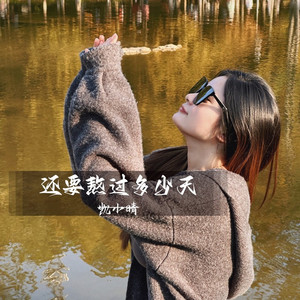 还要熬过多少天 (DJ彭锐版伴奏)