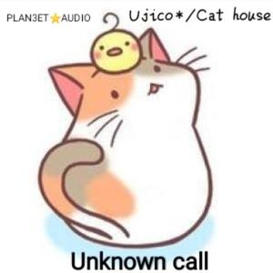 PLAN3ET AUDIO-Unknown call（PLAN3ET AUDIO / Ujico*/Cat house remix）