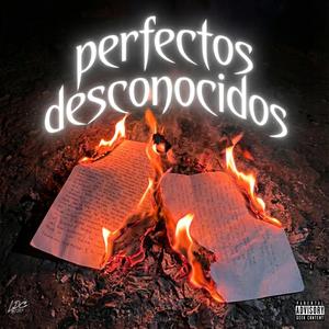 Perfectos Desconocidos