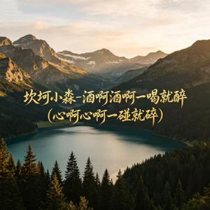 酒啊酒啊一喝就醉(心啊心啊一碰就碎)