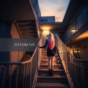 Just Like You