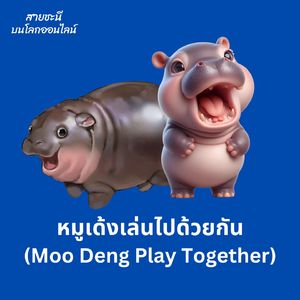 หมูเด้งเล่นไปด้วยกัน