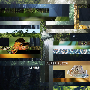 Lines in Her Palms (feat. Sofía Paola)