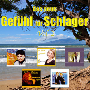 Drecksau (Kommerz Mix)