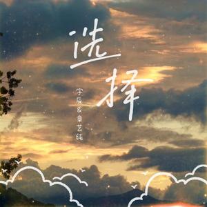 选择