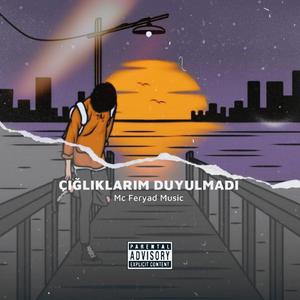 Çığlıklarım Duyulmadı
