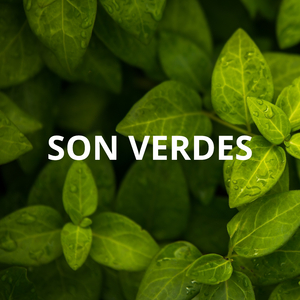 Son Verdes