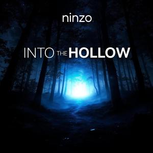 Into the Hollow