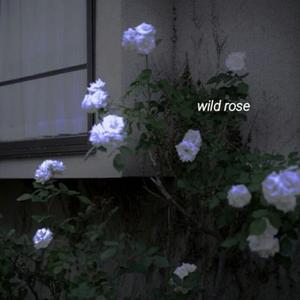 手心的蔷薇(男女合唱版)