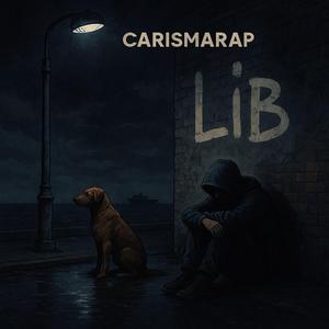 Lib