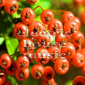 Glued Groove (Superstonic Electic Proghouse Mix)