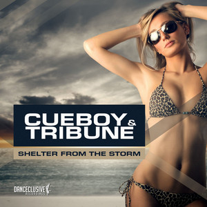 Shelter from the Storm (Club Mix)