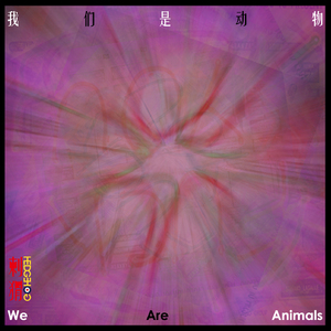 我们是动物