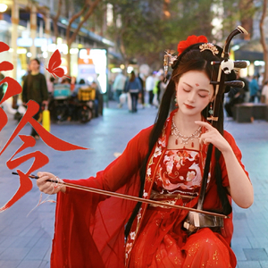 浮光（二胡版）