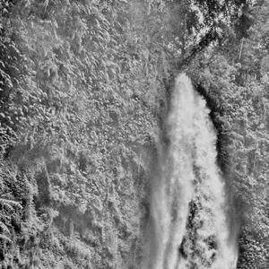 Exo Jungle II, Pt. 1