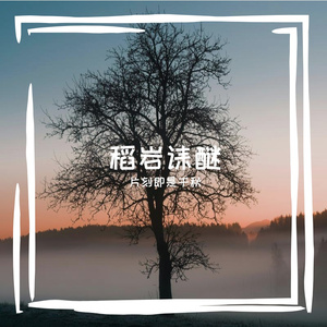 夏柏木盒