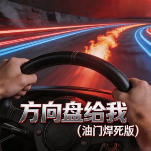 《方向盘给我（油门焊死版）》