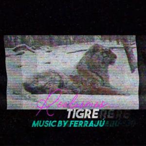 Tigre (feat. Ferrajú)