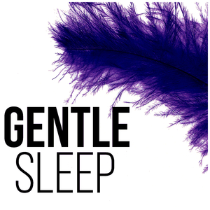 Meditation Before Sleep (Peaceful Sleep)