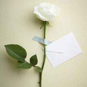 Multiflora rose Letter·蔷薇信笺