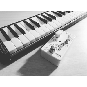 melodica melodica