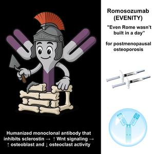 Romosozumab (Anabolic Version)