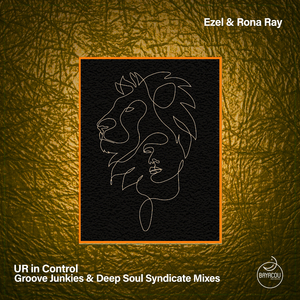 UR in Control (Groove Junkies & Deep Soul Syndicate Sure is Bliss radio edit)