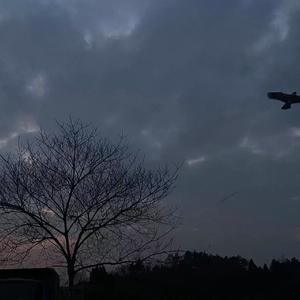 得失还复来 枯木也逢春