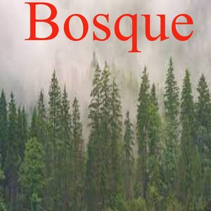 Bosque