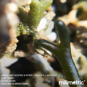 Private Message (Subf Remix)