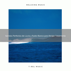 Sonidos Perfectos del Bosque y Ruido de Colores para Dormir