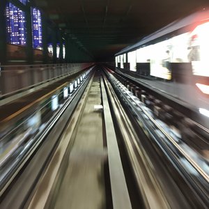 四十一