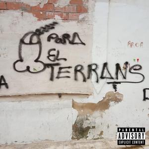 Modo Terrans