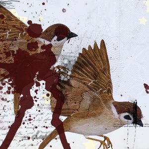 RE: They Have No Reflections