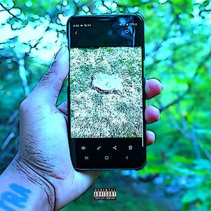 sess sessions live from....