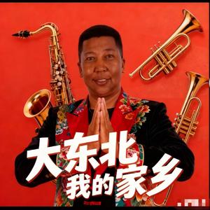 大东北我的家乡 带派爵士版