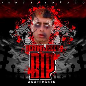 Rip Ak4perquin